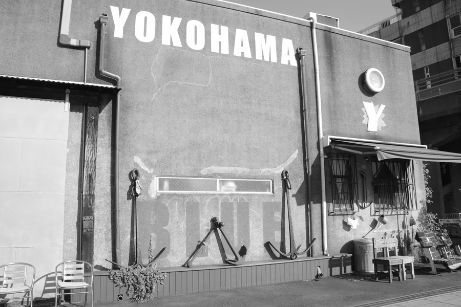 Where Is Wacozumi Sold